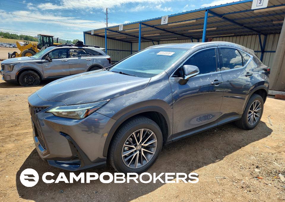2023 Lexus Nx 350, uszkodzenie: Grad, Copart lot 60530636