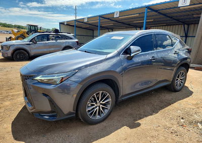 2023 Lexus Nx 350, uszkodzenie: Grad, Copart lot 60530636