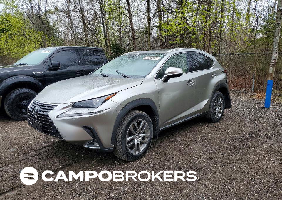 2020 Lexus Nx 300, пошкодження: Задня частина, Copart лот 51953526