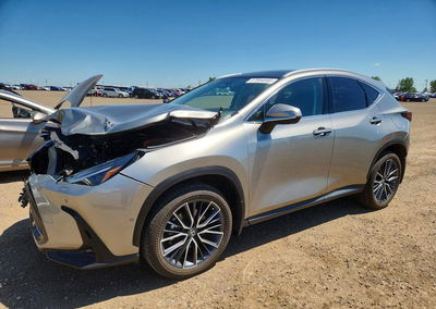 2024 Lexus Nx 350h Premium, Front End damage, Copart lot 57364646