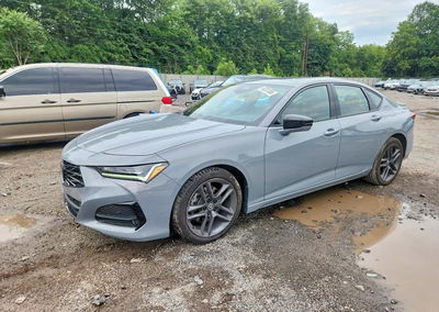 2024 Acura Tlx A-spec, uszkodzenie: Bok, Copart lot 65281806