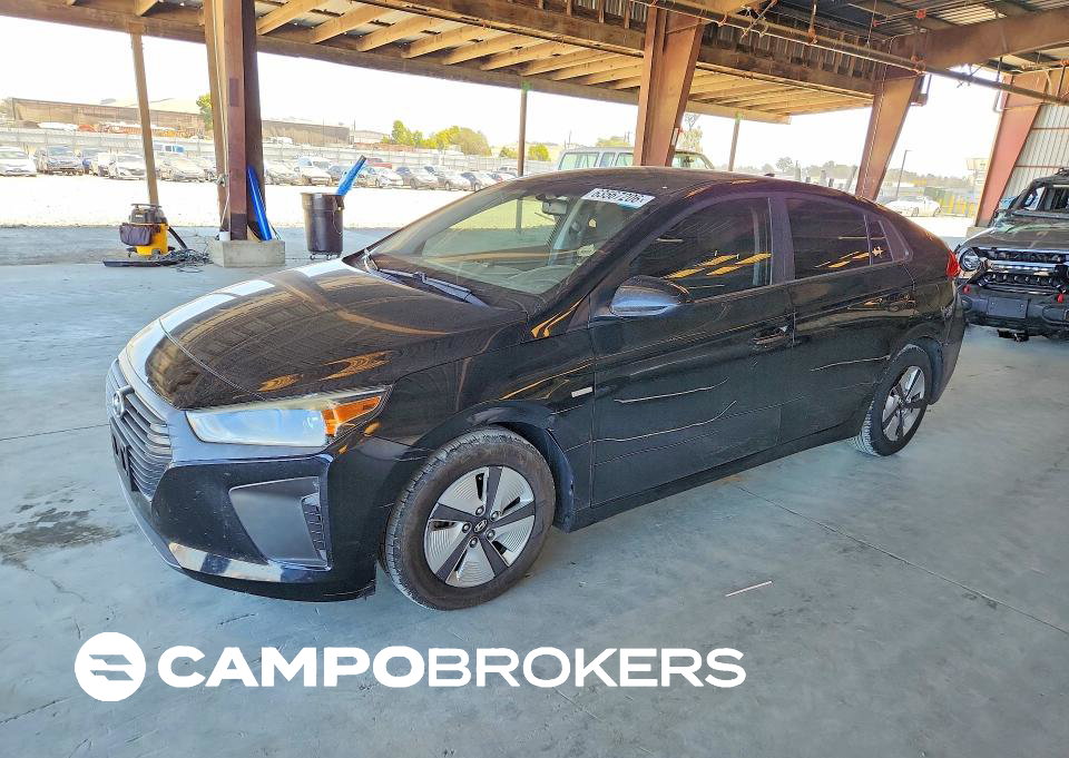 2019 Hyundai Ioniq Blue, пошкодження: Бік, Copart лот 63567206