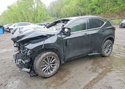 2025 Lexus Nx 350 Premium, пошкодження: Перекидання, Copart лот 52766406
