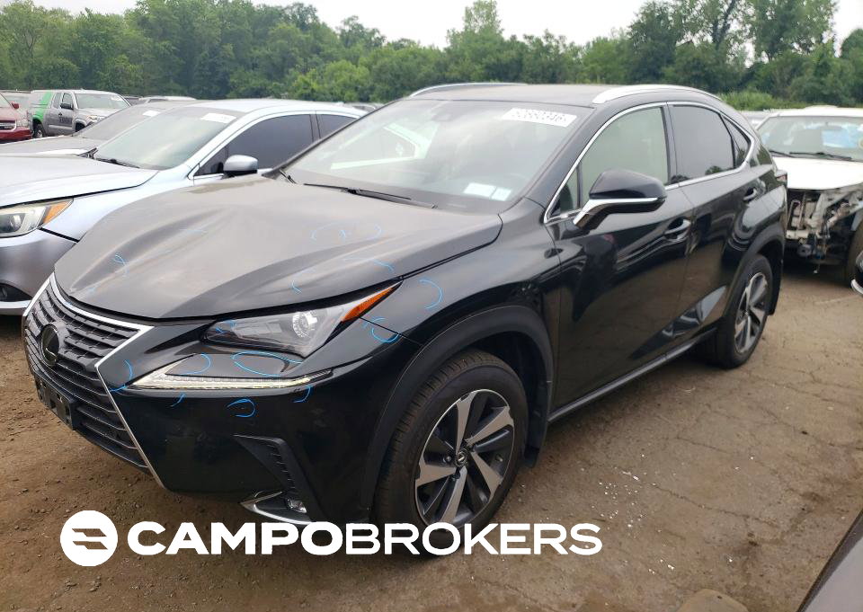 2019 Lexus Nx 300 Base, uszkodzenie: Zalanie, Copart lot 60660346