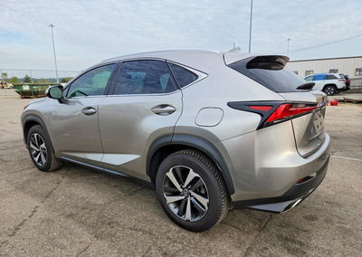 2019 Lexus Nx 300 Base, uszkodzenie: Bok, Copart lot 67122706, zdjęcie 2 z 13