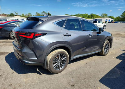 2024 Lexus Nx 350 Premium, пошкодження: Бік, Copart лот 68074756, фото 3 з 13