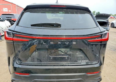 2024 Lexus Nx 350h Base, uszkodzenie: Wandalizm, Copart lot 64807796, zdjęcie 6 z 13