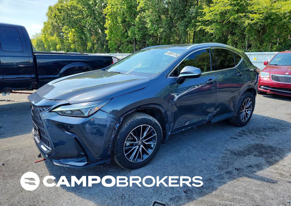 2024 Lexus Nx 350 Premium, пошкодження: Бік, Copart лот 68074756
