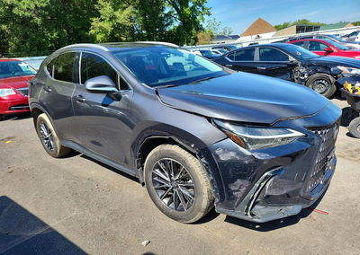 2024 Lexus Nx 350 Premium, пошкодження: Бік, Copart лот 68074756, фото 4 з 13