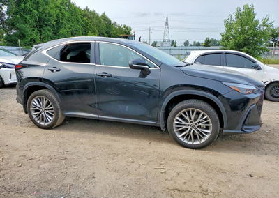 2024 Lexus Nx 350h Base, uszkodzenie: Wandalizm, Copart lot 64807796, zdjęcie 4 z 13