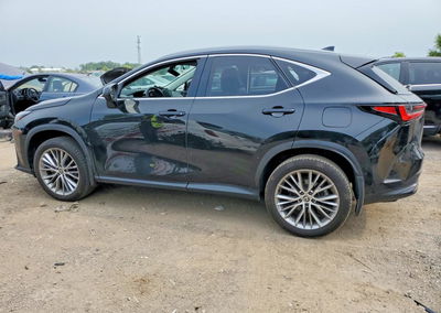 2024 Lexus Nx 350h Base, uszkodzenie: Wandalizm, Copart lot 64807796, zdjęcie 2 z 13