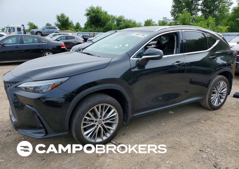 2024 Lexus Nx 350h Base, uszkodzenie: Wandalizm, Copart lot 64807796