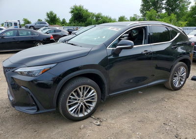 2024 Lexus Nx 350h Base, пошкодження: Вандалізм, Copart лот 64807796