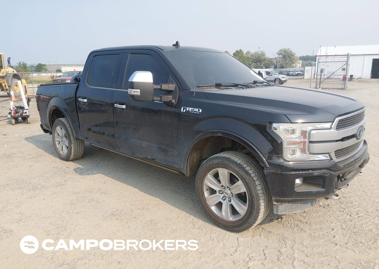 2019 Ford F-150 Platinum, Rear damage, Iaai lot 45823808