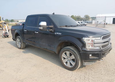 2019 Ford F-150 Platinum, Rear damage, Iaai lot 45823808