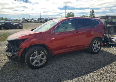 2019 Honda Cr-v Exl, daño Vandalismo, Copart lote 62696746