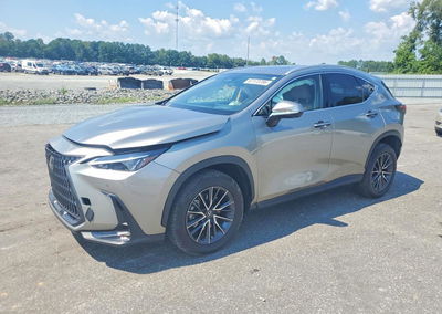 2024 Lexus Nx 350 Premium, пошкодження: Передня частина, Copart лот 67173786
