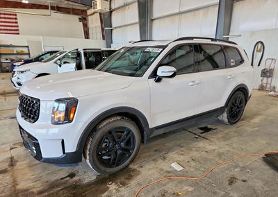 2024 Kia Telluride Sx-prestige X-line, daño Granizo, Copart lote 64208126