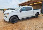 2024 Chevrolet Silverado K1500 Rst, Front End damage, Copart lot 66432836