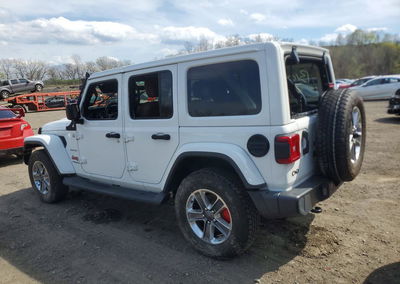 2020 Jeep Wrangler Unlimited Sahara, daño Trasero, Copart lote 49809156, foto 2 de 13