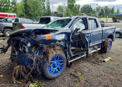 2020 Chevrolet Silverado K1500 Rst, Biohazard/Chemical damage, Copart lot 63341456