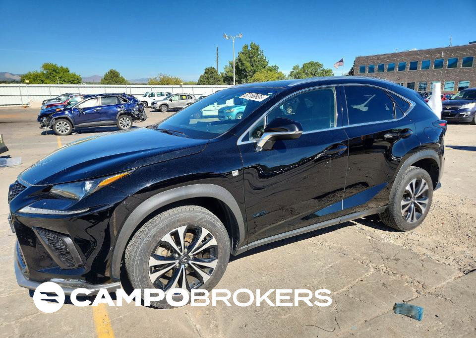 2019 Lexus Nx 300 F Sport, пошкодження: Град, Copart лот 67189806