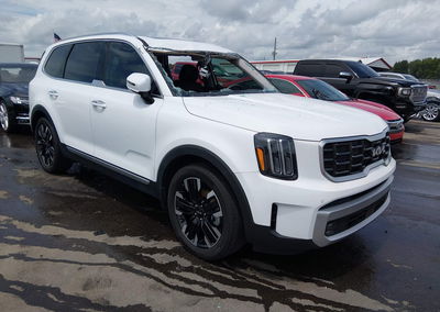 2024 Kia Telluride Sx Prestige, daño Storm Damage, Iaai lote 45766690