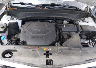 2024 Kia Telluride Sx Prestige, daño Storm Damage, Iaai lote 45766690, foto 10 de 21