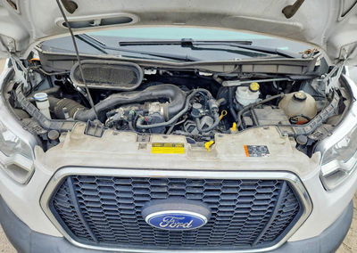 2021 Ford Transit T-250, пошкодження: Задня частина, Copart лот 53899896, фото 12 з 13