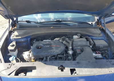2019 Hyundai Santa Fe Limited 2.0t, uszkodzenie: Grad, Copart lot 47995796, zdjęcie 12 z 13