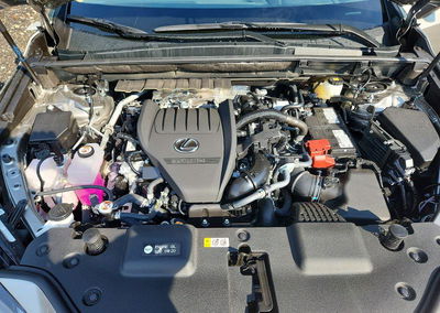2026 Lexus Nx 350 Premium, пошкодження: Задня частина, Copart лот 60738006, фото 12 з 13