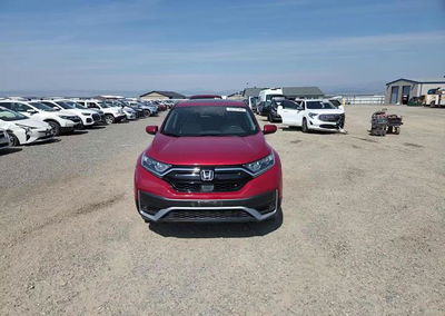 2021 Honda Cr-v Exl, uszkodzenie: Tył, Copart lot 65741366, zdjęcie 13 z 14