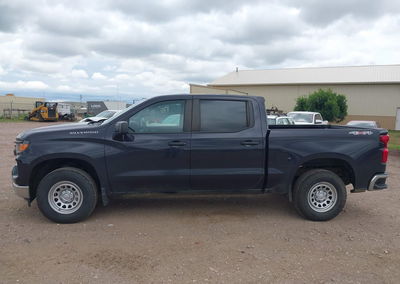 2023 Chevrolet Silverado 1500 4wd  Short Bed Wt, пошкодження: Normal Wear & Tear, Iaai лот 45437420, фото 14 з 16