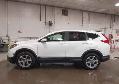 2019 Honda Cr-v Ex, uszkodzenie: Prawy bok, Iaai lot 45709218, zdjęcie 14 z 16