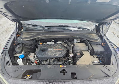 2019 Hyundai Santa Fe Limited, пошкодження: Задня частина, Copart лот 74970215, фото 12 з 15
