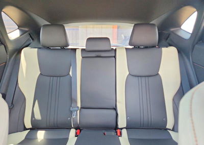 2023 Lexus Nx 350, uszkodzenie: Grad, Copart lot 60530636, zdjęcie 10 z 13