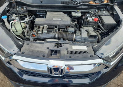 2019 Honda Cr-v Ex, daño Trasero, Copart lote 65158066, foto 11 de 12