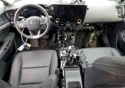2024 Lexus Nx 350h Base, uszkodzenie: Wandalizm, Copart lot 64807796, zdjęcie 8 z 13
