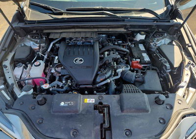2025 Lexus Nx 350 Luxury, uszkodzenie: Przód, Copart lot 63616336, zdjęcie 12 z 15