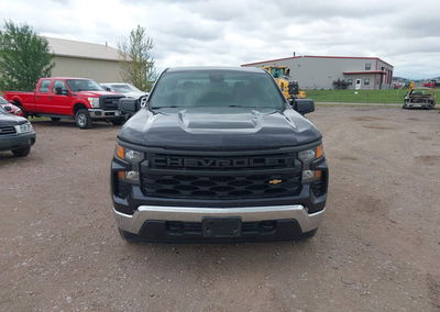 2023 Chevrolet Silverado 1500 4wd  Short Bed Wt, пошкодження: Normal Wear & Tear, Iaai лот 45437420, фото 12 з 16