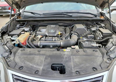 2019 Lexus Nx 300 Base, uszkodzenie: Bok, Copart lot 67122706, zdjęcie 12 z 13