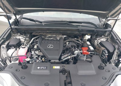 2023 Lexus Nx 350 Premium, Front & Rear damage, Iaai lot 45818360, photo 10 of 17