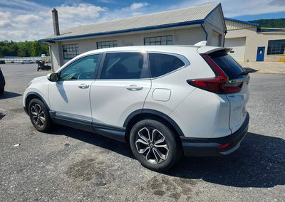 2020 Honda Cr-v Ex, uszkodzenie: Normalne zużycie, Copart lot 64940656, zdjęcie 2 z 13