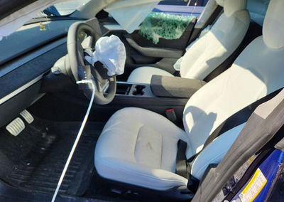 2022 Tesla Model 3, uszkodzenie: Bok, Copart lot 62187266, zdjęcie 13 z 22
