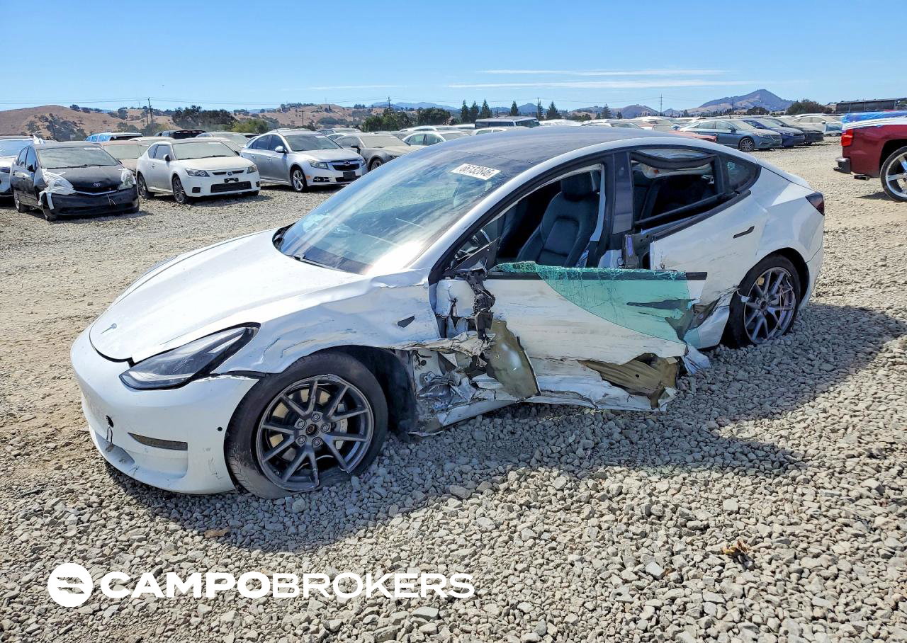 2021 Tesla Model 3, uszkodzenie: Bok, Copart lot 66132846