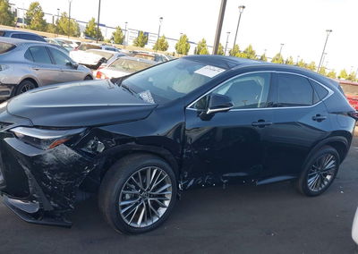 2025 Lexus Nx 350h Luxury, пошкодження: Лівий перед, Iaai лот 45769879, фото 15 з 18