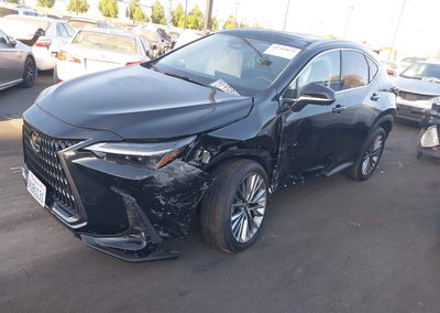 2025 Lexus Nx 350h Luxury, пошкодження: Лівий перед, Iaai лот 45769879, фото 2 з 18