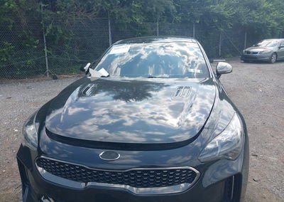 2019 Kia Stinger Gt1, Front End damage, Iaai lot 46027425, photo 13 of 17
