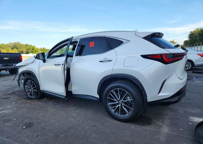2024 Lexus Nx 250 Premium, пошкодження: Бік, Copart лот 70609546, фото 2 з 14