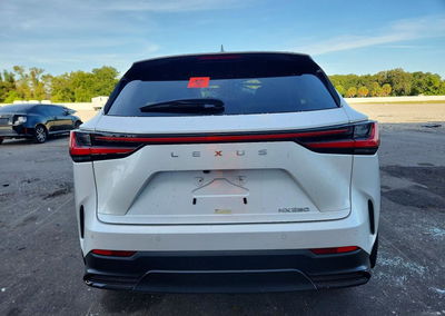 2024 Lexus Nx 250 Premium, пошкодження: Бік, Copart лот 70609546, фото 6 з 14